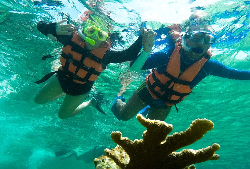 Total Snorkel Essential In Puerto Morelos