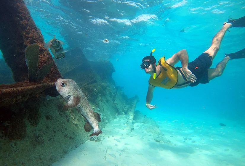 TOUR DE SNORKELING EN LAS AGUAS CRISTALINAS DE CANCÚN