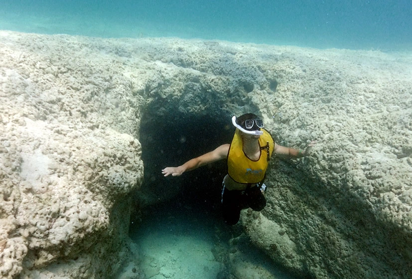 TOUR DE SNORKELING EN LAS AGUAS CRISTALINAS DE CANCÚN
