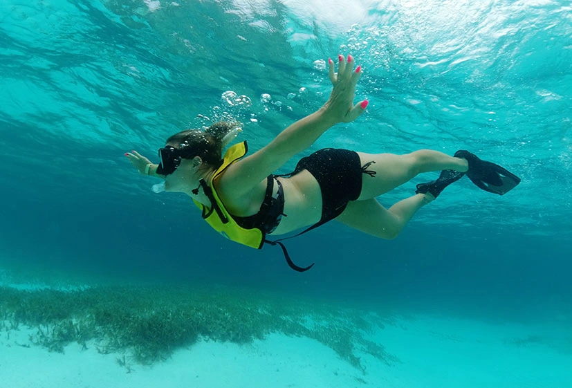 TOUR DE SNORKELING EN LAS AGUAS CRISTALINAS DE CANCÚN