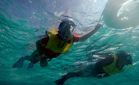 Snorkeling In Cancun