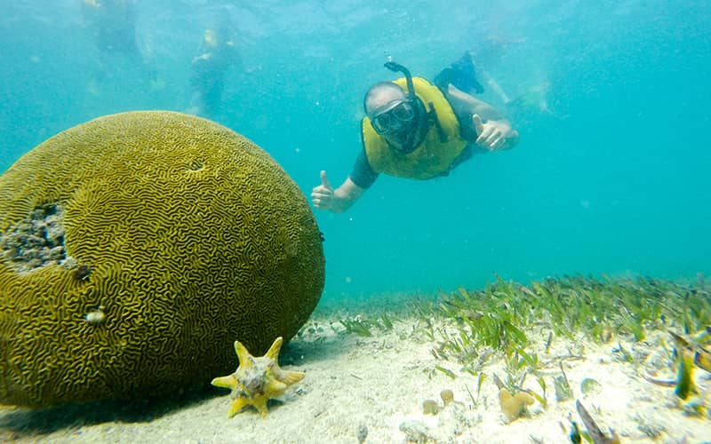 Esnórquel en Cancún con Tortugas, Arrecife, Estatuas Submarinas, Naufragio y Cenote Submarino