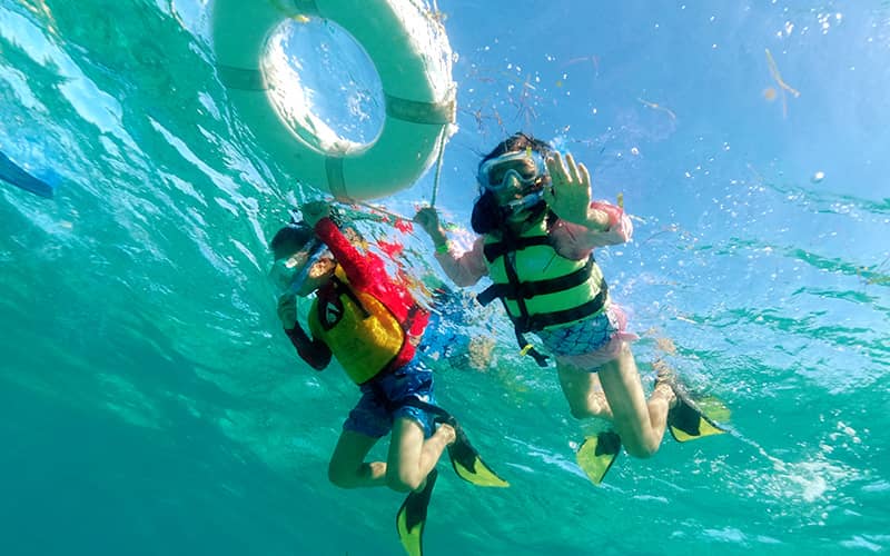 Esnórquel en Cancún con Tortugas, Arrecife, Estatuas Submarinas, Naufragio y Cenote Submarino