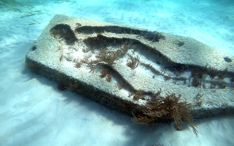 Snorkeling In Cancun With Turtles, Reef, Underwater Statues, Shipwreck And Underwater Cenote