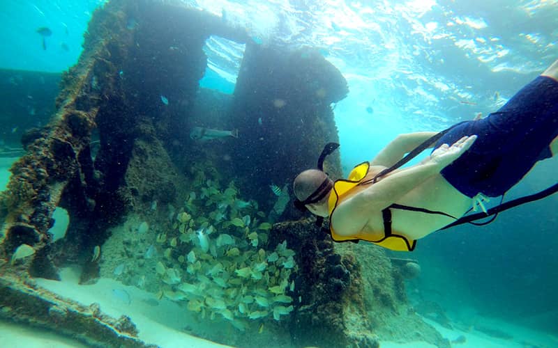 Snorkeling In Cancun With Turtles, Reef, Underwater Statues, Shipwreck And Underwater Cenote