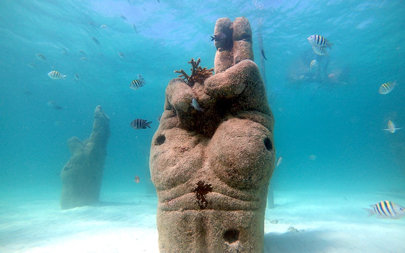 Snorkeling In Cancun With Turtles, Reef, Underwater Statues, Shipwreck And Underwater Cenote