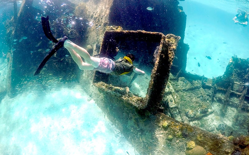 Snorkeling In Cancun With Turtles, Reef, Underwater Statues, Shipwreck And Underwater Cenote