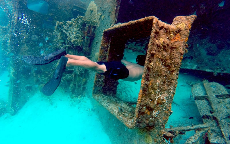 Esnórquel en Cancún con Tortugas, Arrecife, Estatuas Submarinas, Naufragio y Cenote Submarino