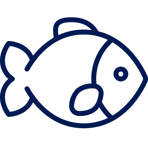  What marine life can I see while snorkeling?