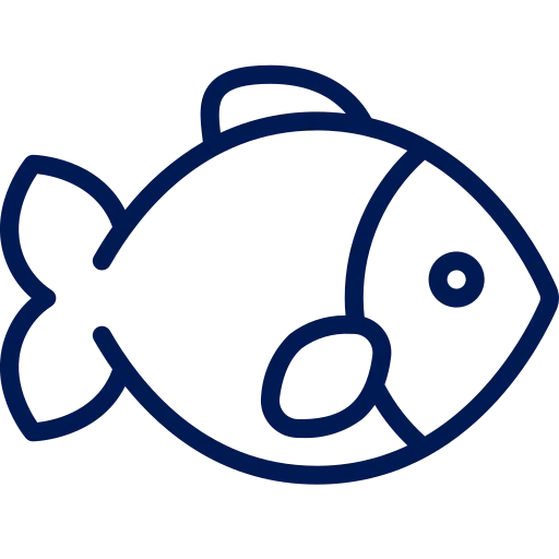  What marine life can I see while snorkeling?