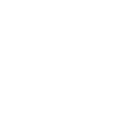 Local Expert Guides