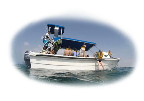Snorkel Adventure's Boat