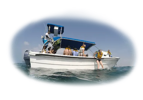 Lancha de Snorkel Adventure